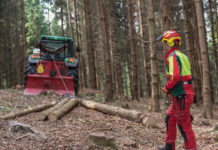 Coronavirus verunsichert den Holzmarkt