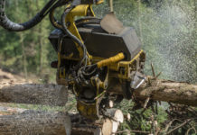 Sofortmaßnahmen zur Sicherung der Wertschöpfungskette Forst-Holz-Papier gefordert