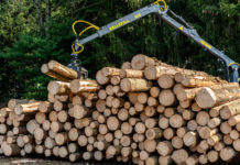 Lagerung von Schadholz auf beihilfefähigen Flächen bis 31. März 2021 möglich