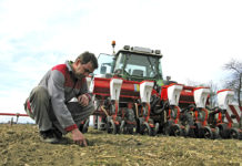 Frühjahrsanbau 2020: Mehr Mais, Soja und Zuckerrüben erwartet