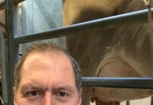 Moosbrugger: „Langweilig wird mir derzeit nicht“