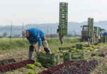 Härtefallfonds: ab 30. März 2020 beantragen