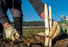 Online-Plattformen helfen bei der Suche nach Arbeitskräften in der Landwirtschaft