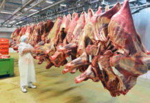 Rindermarkt: Preise “einfrieren” soll völligen Verfall verhindern