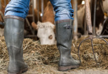 Bauer im Nebenerwerb – und plötzlich arbeitslos