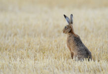 Appell an Freizeitnutzer: Regeln einhalten
