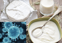 Moosbrugger: Corona-Krise trifft besonders den Milch- und Fleischmarkt