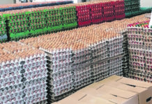 Neue Absatzmärkte für Eierproduzenten