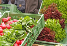 Der Online-Handel boomt: wo Bauern jetzt selbst anpacken und liefern
