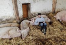 Lernen zuhause am Bauernhof