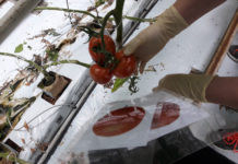Auch Menschen mit Behinderung haben ein Recht auf Arbeit