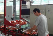 Ersatz für fehlende Saisonarbeitskräfte