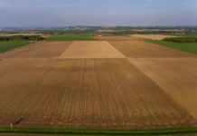 Bayer profitiert im ersten Quartal seines Agrargeschäfts von Vorratskäufen