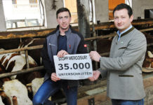 “Existenz der blau-gelben Rinderbauern nicht aufs Spiel setzen”