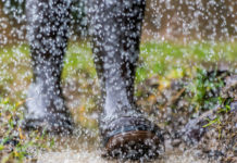 Wettermärkte setzen ein: Regen kühlt hitzige Weizen-Terminmärkte ab