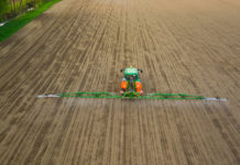 Monitoring gegen Rübenschädlinge