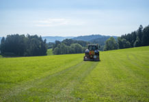 AMA informiert über Grünlanderhaltungspflichten im ÖPUL