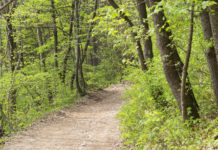 Land & Forst Betriebe ersuchen um Rücksicht bei Waldbesuchen