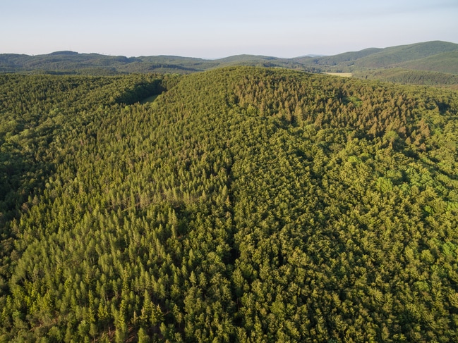 Wienerwald ID79108 Size650px