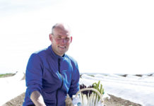 Arbeitsspitzen meistern mit den „Lebensmittelhelfern“