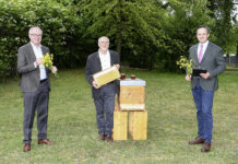 Neue Bienenwanderbörse soll Bauern und Imker künftig besser vernetzen
