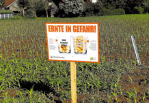Aktion „schauFELDER” – Pflanzenschutz sichert die Ernte