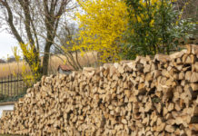 Klagenfurt: Internationale Holzmesse/Holz&bau auf Oktober 2020 verschoben