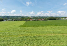 Flexibilisierung des Nutzungszeitpunktes von Biodiversitätsflächen im Grünland