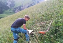 Wenn Bergwiesen nicht mehr gemäht werden Fabian Lorenz bei der Pflanzenbestandsbestimmung im Lechtal.