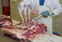 EU-Schlachtrindermarkt weiterhin fest im Griff von COVID-19