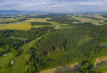 Land&Forst Betriebe zum Tag der Artenvielfalt: Wald ist Hotspot der Biodiversität