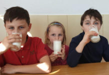 Weltmilchtag: Milchkühe gehen nicht in Kurzarbeit