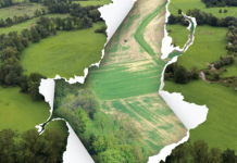 Jetzt wird das Futter rar: Was Bauern tun können