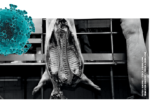 Corona-Hotspots Schlachthöfe