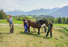Großes Interesse an sinnstiftender Tätigkeit Familie Kerscher mit Martin Senior (l.) und Martin Junior (r.) freuen sich mit Helferin Gabriele über die freigeräumte Weide für die Rinder und Pferde.
