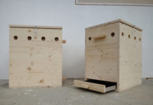 Miniaturdarstellung des Nährstoffkreislaufes Melanie Kraler und Isabella Walder fertigten für ihre Diplomarbeit zwei Wurmkisten, in denen sie 40 Wochen lang Würmer mit Bioabfall fütterten und so wertvollen Wurmhumus erzeugten.