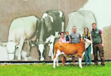 Stierkalb wechselt für Rekordsumme den Besitzer