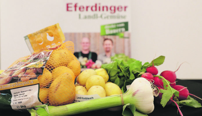 Gemüsevielfalt Aus Dem Eferdinger Landl C LandOÖ Ernst Grilnberger