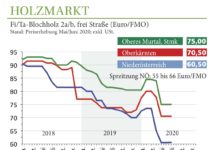 Holzmarkt Juni 2020: Schadholz dominiert, kaum Normalnutzung