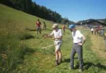 Almkurs im Home-Office Auch für das alte traditionelle Almhandwerk gibt es Interessenten (hier ein Sensenmähkurs).