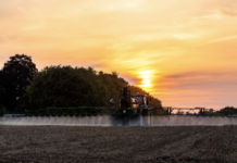 Vorerst keine Mehrheit für Glyphosat-Verlängerung