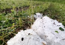 Schweres Unwetter in Kärnten verursacht eine halbe Million Euro Schaden