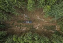 Woche des Waldes: Nachhaltig bewirtschafteter Wald ist aktiver Klimaschutz