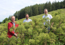 Anbauversuch: Alpen-Ginseng aus Ellbögen Werner Ultsch (Eagles Future Distillery), Christoph Spörr und Wendelin Juen (LK Tirol)