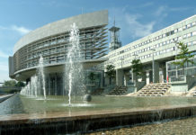 Niederösterreich stimmt für Österreich-Wald-Paket