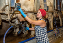 Solidarität mit heimischen Milchbauern zeigen