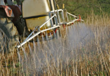 Bayer erzielt Vergleich mit Glyphosat-Klägern