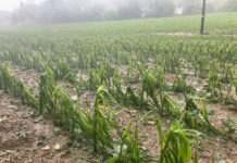 Erste schwere Unwetter in der Steiermark
