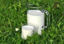 Weniger Rinder, positiver Trend am Milchmarkt