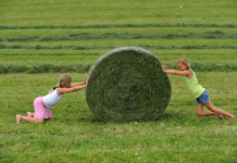 Bäuerinnen trifft Corona-Krise härter